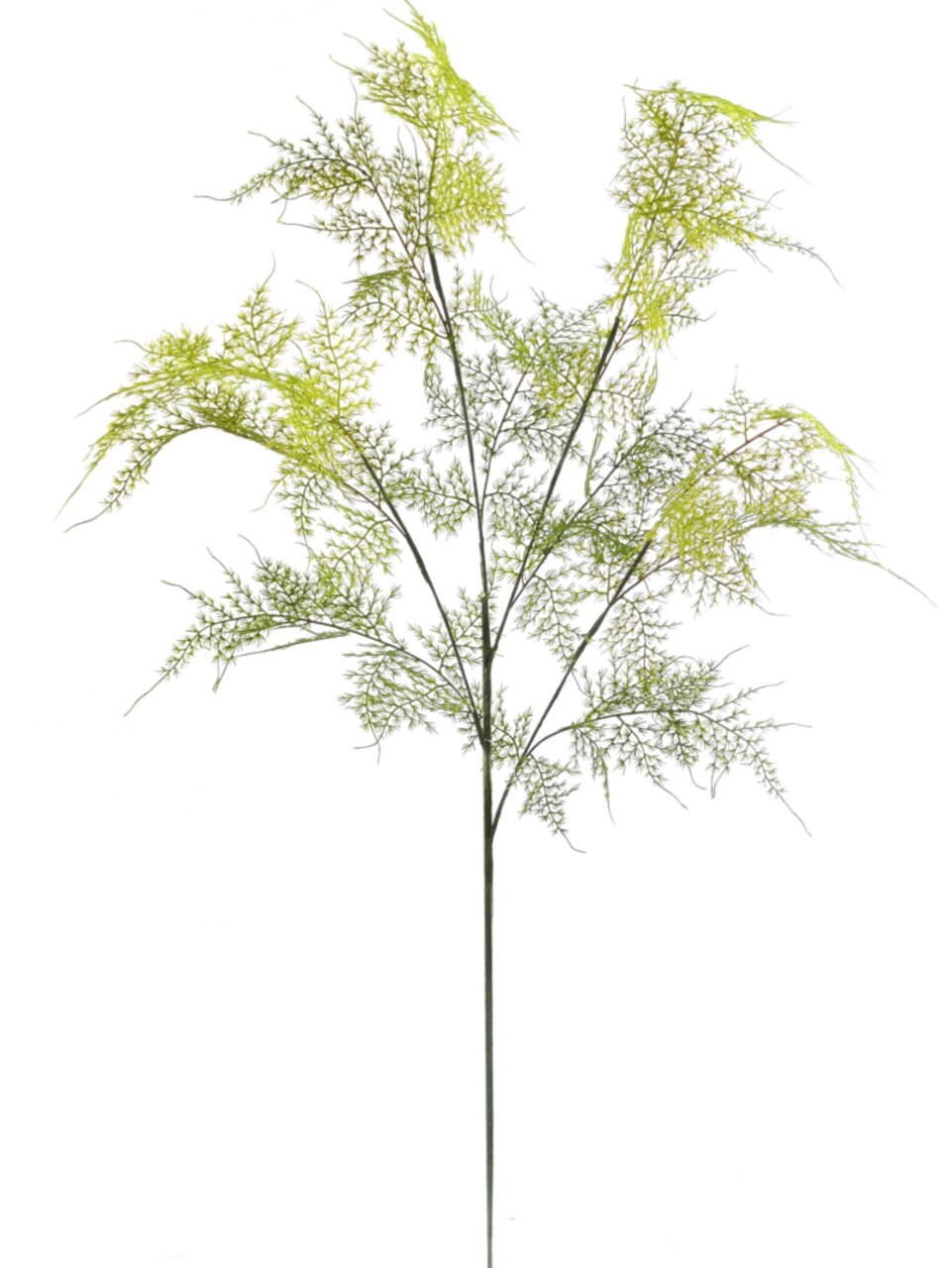 35" Realistic Asparagus Spray - 12-Pack, 4 Branches Per Spray, Lifelike Greenery, Perfect for Floral Arrangements & Décor - Ideal for All Seasons, Floral Home by Artificial Flowers